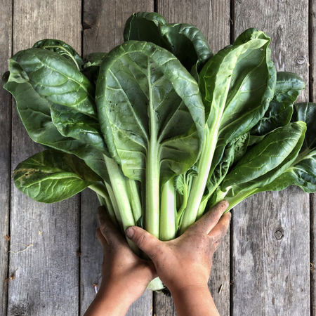 Tatsoi, Organic Asian Greens - Packet image number null